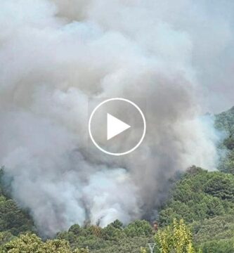 Declarado otro incendio forestal, esta vez en Torre de Don Miguel