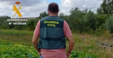 4 detenidos por robar más de 1.100 kilos de productos hortofrutícolas en una finca de Miajadas