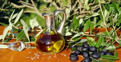 Raíces de nuestro tesoro la aceite de oliva