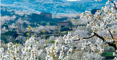 El Valle del Jerte