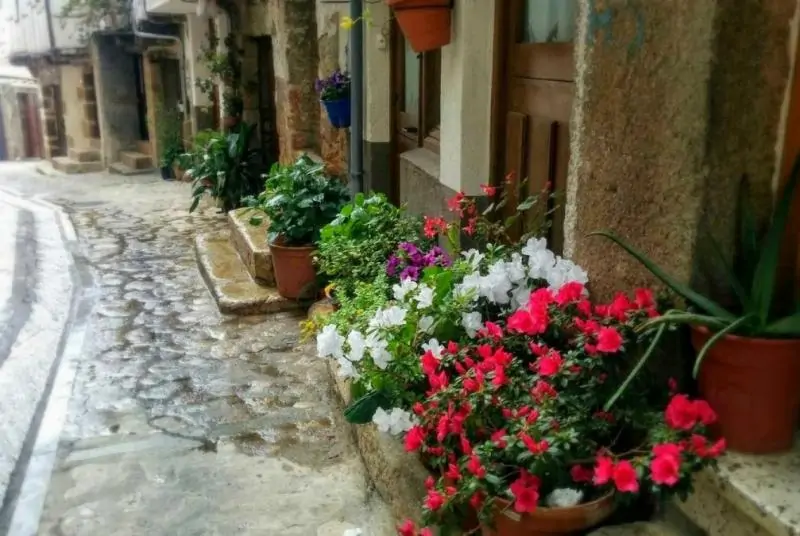 Descubre la Comarca de Sierra de Gata