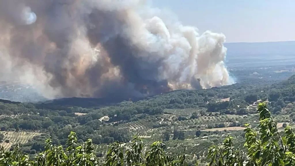 Declarado el Nivel 1 de Peligrosidad por Incendio Forestal en Pasarón de la Vera