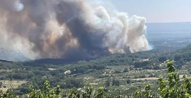 Declarado el Nivel 1 de Peligrosidad por Incendio Forestal en Pasarón de la Vera