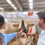 Diego Pizarro Triunfa en la Feria Agroganadera de Salamanca 2024 con su Charolesa París