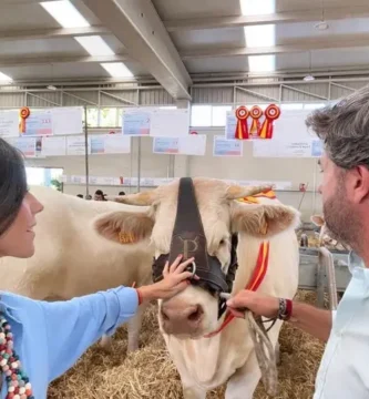 Diego Pizarro Triunfa en la Feria Agroganadera de Salamanca 2024 con su Charolesa París