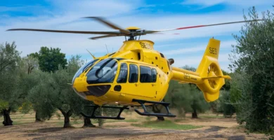 Herido grave un hombre de 65 años tras recibir la cornada de una vaca en Santibáñez el Bajo