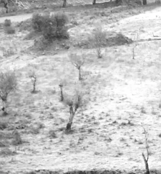 Temperaturas bajo cero en varias localidades de Extremadura
