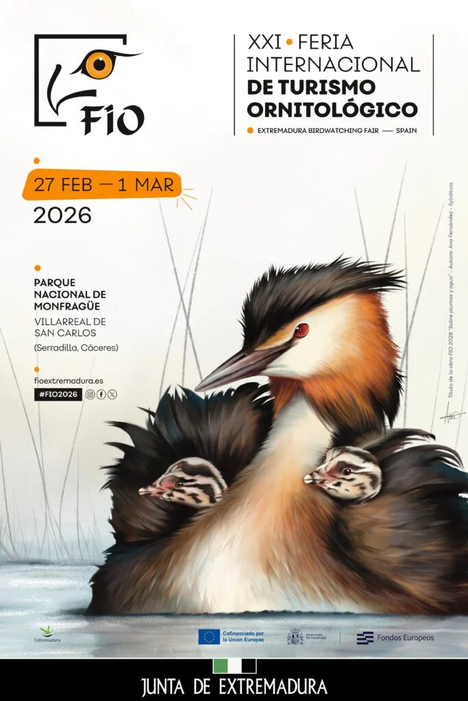 FIO 2026 en Monfragüe: La Guía Definitiva de la Gran Cita del Turismo Ornitológico en Extremadura