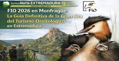FIO 2026 en Monfragüe: La Guía Definitiva de la Gran Cita del Turismo Ornitológico en Extremadura