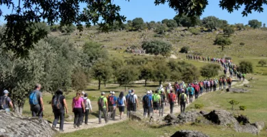 Éxito de participación en la ruta senderista El Robledal de Aceituna este domingo 10 de mayo