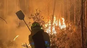 Bomberos forestales combatiendo un incendio en la región extremeña