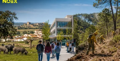 Extremadura Hoy: Desarrollo Rural; Inversiones Educativas y Prevención Forestal este 6 de Junio