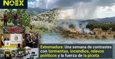 Resumen de noticias de Extremadura del 15 de junio de 2026 para Somos Norte de Extremadura
