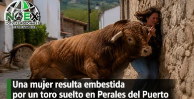 Una mujer resulta embestida por un toro suelto en Perales del Puerto y es evacuada al hospital