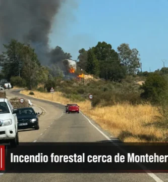 ÚLTIMA HORA | Incendio forestal entre Montehermoso y Aceituna: el INFOEX trabaja cerca del embalse