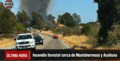 ÚLTIMA HORA | Incendio forestal entre Montehermoso y Aceituna: el INFOEX trabaja cerca del embalse