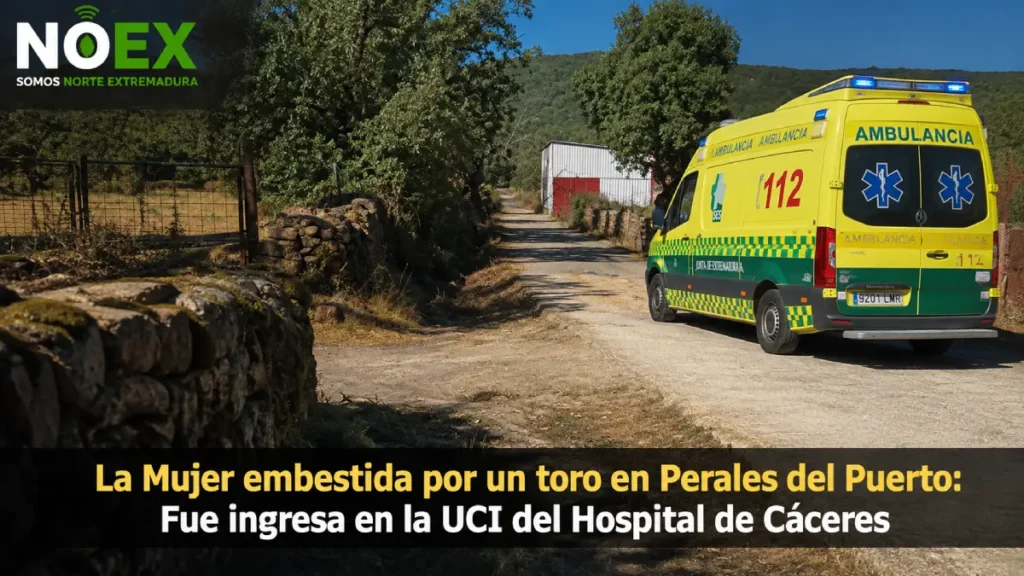La Mujer embestida por un toro en Perales del Puerto: Fue ingresa en la UCI del Hospital de Cáceres