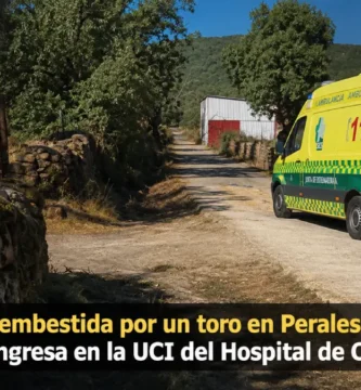 La Mujer embestida por un toro en Perales del Puerto: Fue ingresa en la UCI del Hospital de Cáceres
