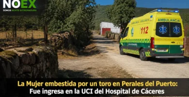 La Mujer embestida por un toro en Perales del Puerto: Fue ingresa en la UCI del Hospital de Cáceres