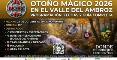 Otoño Mágico 2026 en el Valle del Ambroz: Programación, Fechas y Guía Completa