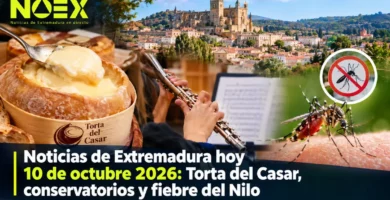 Noticias de Extremadura hoy 10 de octubre 2026: Torta del Casar, conservatorios y fiebre del Nilo