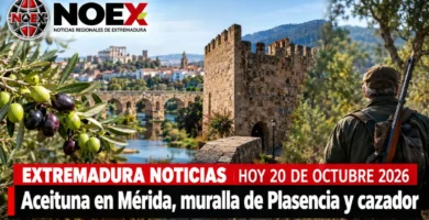 Extremadura Noticias hoy 20 de octubre 2026: Aceituna en Mérida, muralla de Plasencia y cazador
